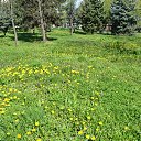 ���� ����, �������, 66 ��� - ��������� 27 ������ 2015 � ������ ������ 2015�