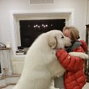 ���� �������� �� �������...., ���, 53 ���� - ��������� 19 ���� 2015 � ������ ���� ����������