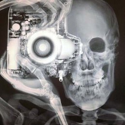 ���� ����, �����-���������, 45 ��� - ��������� 14 ��� 2015