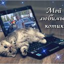 ���� �������, ������, 47 ��� - ��������� 4 ������� 2015 � ������ ���� ����������