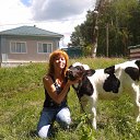 ���� ������ ��������, ������ �������� - ��������� 27 ��� 2015 � ������ ���� ����������