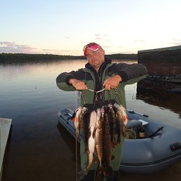 �������, �������, 51 ���