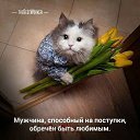 ���� �������, ������, 52 ���� - ��������� 10 ��� 2015 � ������ ������ ��������