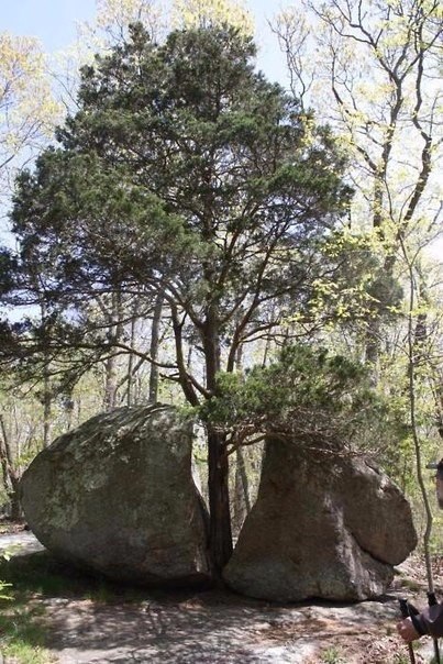 ��� ��� ��� ������ ��������� ������