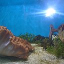 ���� ���������, �����, 27 ��� - ��������� 14 ���� 2015 � ������ ���� ����������