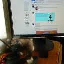  ,  , 60  -  17  2015    