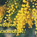 ���� �����, ������ �������� - ��������� 3 �������� 2015 � ������ �������� ��������
