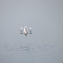 ���� ������, ����, 44 ���� - ��������� 3 �������� 2015 � ������ ���� �������� ���� ��������