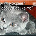 ���� �����, �����������, 47 ��� - ��������� 30 ���� 2015 � ������ ���������