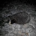 ��� ����!���� ��� �� ����� �� ������� ����