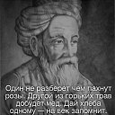 ���� Vladimer Dvali, �������, 66 ��� - ��������� 10 �������� 2015 � ������ ������ ��������