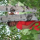 ���� ����, �����������, 71 ��� - ��������� 2 ���� 2015 � ������ ������ ��������