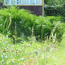 ���� ������, ������ - ��������� 23 ������� 2015 � ������ ���� ����������