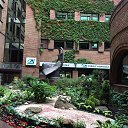 ���� ������, ���� - ��������� 30 ��� 2015 � ������ �����