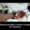 ���� �����, ������������ - ��������� 19 ���� 2015 � ������ ������ ��������