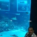 ���� ������, �����������, 57 ��� - ��������� 6 ���� 2015 � ������ ���� ����������