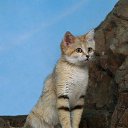 ���� ������, ��������, 48 ��� - ��������� 6 ���� 2015 � ������ ������ ��������