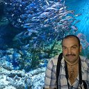 ���� ������, �����������, 57 ��� - ��������� 6 ���� 2015 � ������ ���� ����������