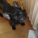 ���� �������, ������, 48 ��� - ��������� 20 ������� 2015 � ������ ���� ����������