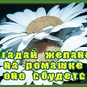 ���� ���, ������ - ��������� 20 ���� 2015 � ������ �������� ��������