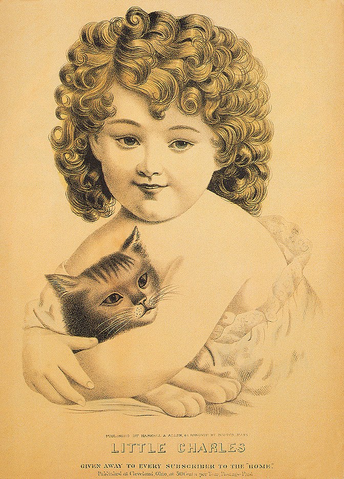 Cat in Old Ilustratives /     - 15