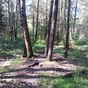 ���� �����, ������, 54 ���� - ��������� 19 �������� 2015 � ������ ��������