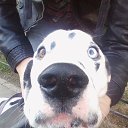 ���� �����, �����-��������� - ��������� 18 ���� 2015 � ������ ���� ����������