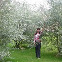 ���� ���, ����������, 51 ��� - ��������� 8 ��� 2015 � ������ ���� ����������