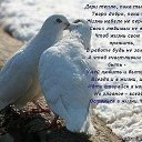 ���� �������, �����, 70 ��� - ��������� 7 ������� 2015 � ������ ������ ��������