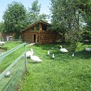 ���� �������, ���������� - ��������� 13 �������� 2015 � ������ ������ ��������