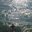 ���� ����, �������, 46 ��� - ��������� 5 �������� 2015 � ������ ���� ����������