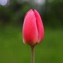 ���� Ksnzo, �����, 52 ���� - ��������� 11 ���� 2015 � ������ ������� ������