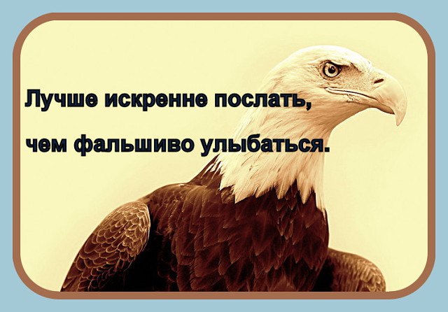 Хороший посылать. Лучше искренне послать чем фальшиво улыбаться. Лучше быть честным врагом чем фальшивым другом. Лучше искренне послать чем фальшиво улыбаться фото. Фальшивое благородство.