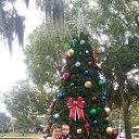 ���� �����, ������� - ��������� 26 ������ 2015 � ������ ��������