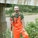 ���� ���������, ��������, 49 ��� - ��������� 29 ���� 2015 � ������ ���� ����������