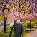 ���� ���������, ������, 40 ��� - ��������� 2 ��� 2015 � ������ ���� ����������