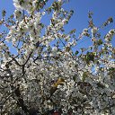 ���� �����, ���� - ��������� 9 ���� 2015 � ������ ���� 2015�.�