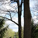 ���� �����, �����-��������� - ��������� 22 ���� 2015 � ������ ���� ����������