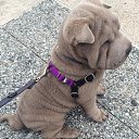 ��� ����� �� ������� ���� ����������