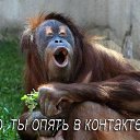 ���� �����, �����������, 47 ��� - ��������� 6 ��� 2015 � ������ ���� ����������