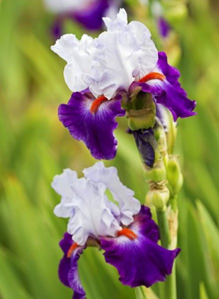 ||  ... || - 16  2015  12:28 - 6