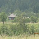 ���� ������, �����������, 61 ��� - ��������� 15 ���� 2015 � ������ ����� ������ ����� ������������ ������