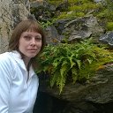 ���� �������, ���������, 46 ��� - ��������� 7 �������� 2015 � ������ ���� ����������