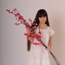 ���� ����������, ������ - ��������� 3 ���� 2015 � ������ ���� ����������