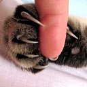 ���� ��������, ������ - ��������� 30 ���� 2015 � ������ ������ ��������