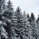 ���� ������, �����-��������� - ��������� 16 ��� 2015 � ������ ����� (���� vs ����)�