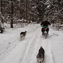 ���� ���� ����� -, �������������, 52 ���� - ��������� 7 ��� 2015 � ������ ���� ����������