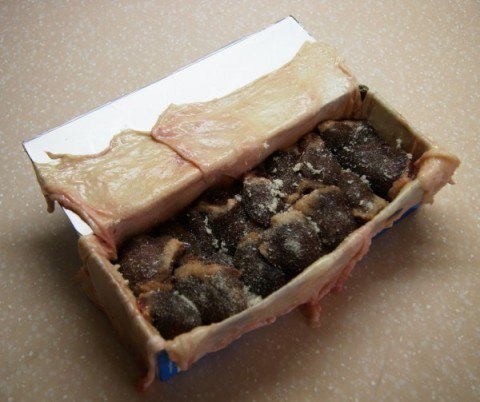 ������� Tetra Pak ... ������� ����������� ���� � ������ ����� Tetra Pak. � �����: ������� �������� � ... - 4