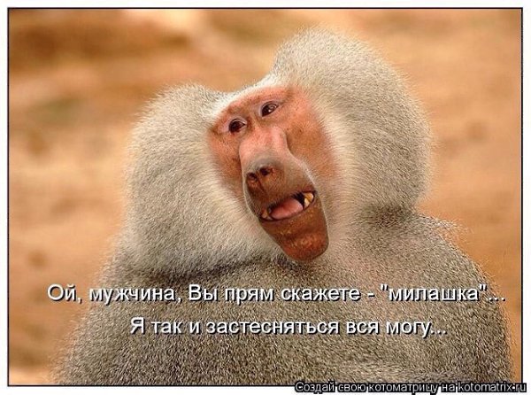 ������� - 24 ������� 2015 � 09:31