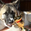 ���� Natalia, ������������, 67 ��� - ��������� 7 ������� 2015 � ������ ���� ����������